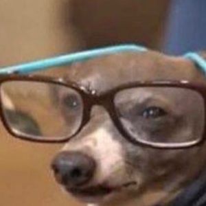 Meet your Posher, Ashleigh